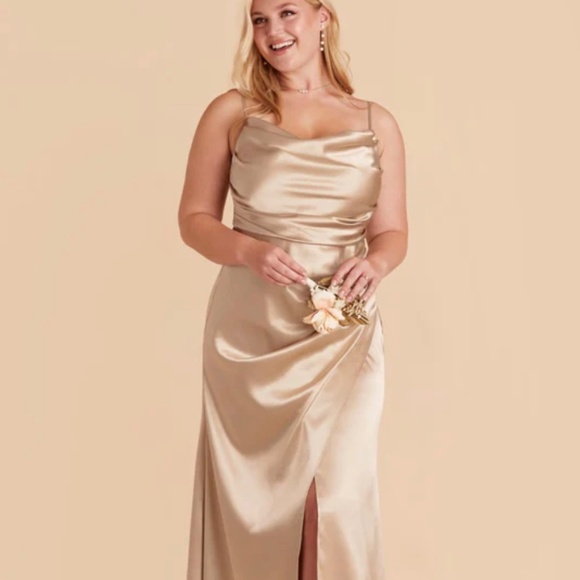 NWT Birdy Grey Satin Champagne Lidia 1X - Picture 1 of 5